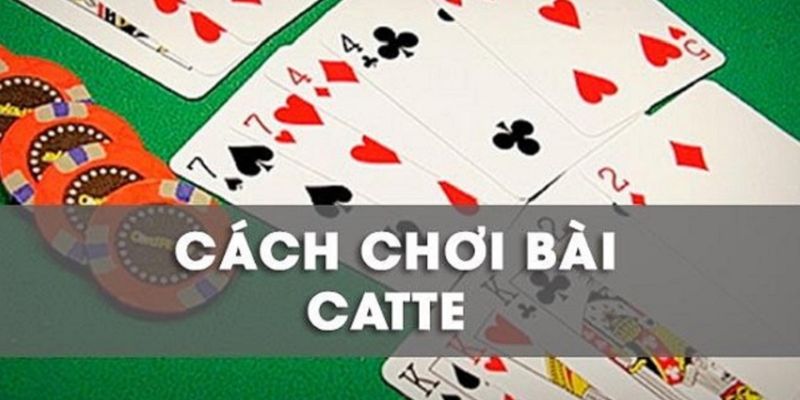 Hướng dẫn cách chơi 6 lá catte 