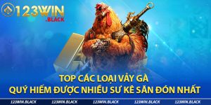 Các loại vảy gà quý thường sẽ có những đặc trưng riêng